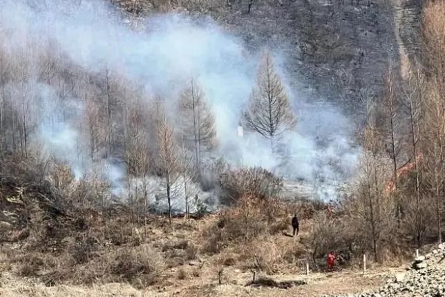 明火已撲滅，初步判斷由祭祀用火引發(fā)！今年已發(fā)生多起